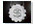 Bling Directory