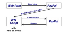 paypal-graphic