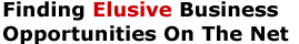 Finding Elusive Business Opportunities On The Net