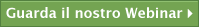 Guarda il nostro Webinar