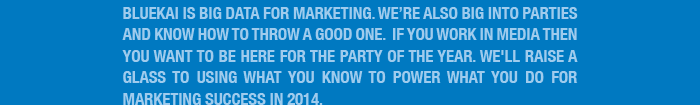 BlueKai is Big Data For Marketing