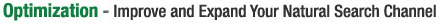 Optimization - Improve and Expand Your Natural Search Channel