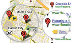 Local Business Map