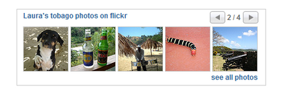 unobtrusive_dynamic_flickr_badge