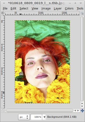 GIMP Red-eye Removal Tutorial: Finished Product