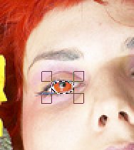 Step 3: Eye selected with Ellipse Select Tool