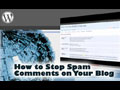 How to Stop Spam Comments on Your Blog