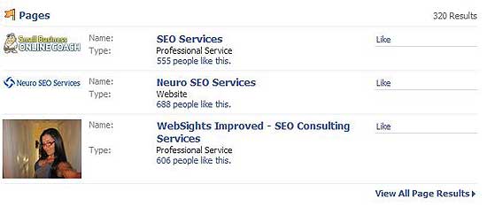 FaceBook SERP 1