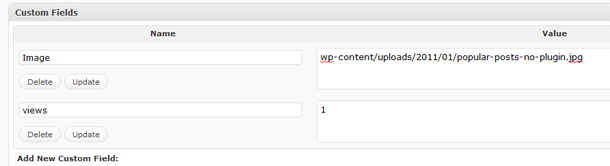 Wordpress Custom Fields