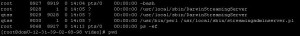 serverrunning