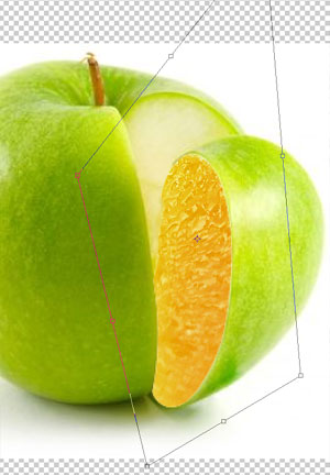 photoshop 7  Portakallı Elma