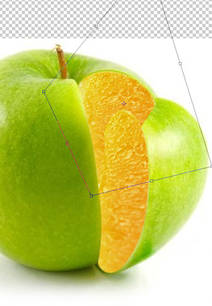 photoshop 8  Portakallı Elma