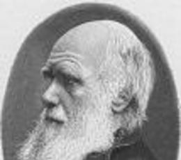 Charles Robert Darwin