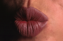 Click To Enlarge