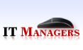 IT Managers
