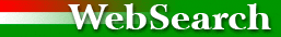 Italian Web Search