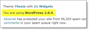 youareusingwp284