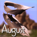 August