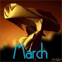 March