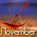 November