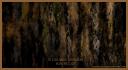 10_grunge_brushes_for_cs2_by_wickedjess.jpg