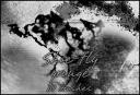 grunge_brush_set___ps_by_shoe_fly.jpg