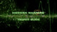 Modern Warfare 2 Trophy Guide
