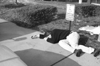 I've Fallen and Can't... Nah, Too Easy - Click To Enlarge