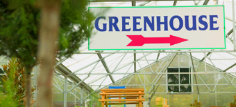 Mahalo Greenhouse - User Generated Directory Results