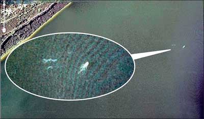 Nessie Smaller