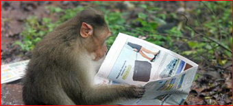 Yahoo! Launches SearchMonkey!