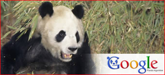 Second Wave Of Help From Google For Sites Attacked By Their Panda Update!