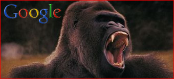 800 lb Google Gorilla 800 lb Google Gorilla