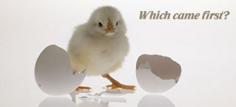 SEO and Search Engines: Which came first?