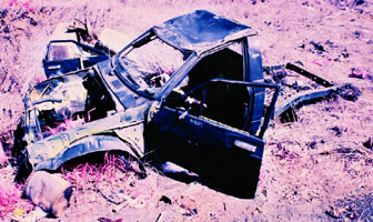 Spammers Wrecked Talent Firm's Credibility