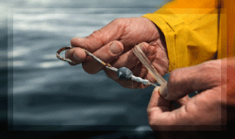 Reelin' em in... 'Reelin' em in...