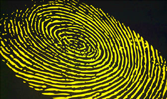 Looking at 2005's ID Fraud