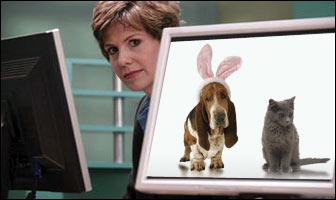 Captchas Go To The Dogs, Cats