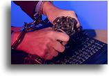Computer Security