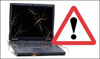Firefox on Windows, Chrome Tough Nuts to Crack 
