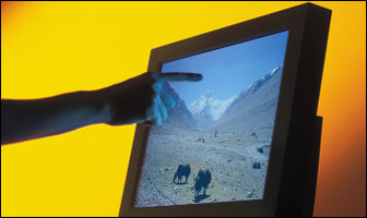 Seven Virus Pieces In Tibet
