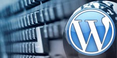 WordPress botnet attack: Improve your security