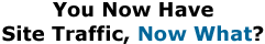 You Now Have Site Traffic, Now What?