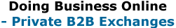 Doing Business Online - Private B2B Exchanges