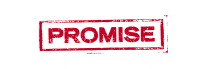 The Fanatical Support Promise