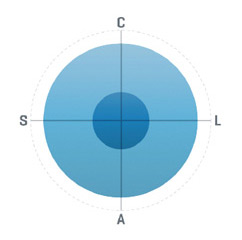 Download the Buyer's Guide to SEO