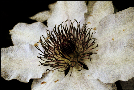 example 2