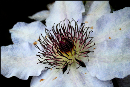 example 3