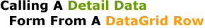 Calling A Detail Data Form From A DataGrid Row