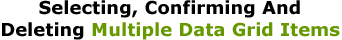 Selecting, Confirming And Deleting Multiple Data Grid Items